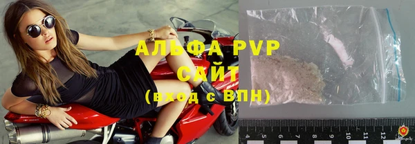 мяу мяу мука Михайлов