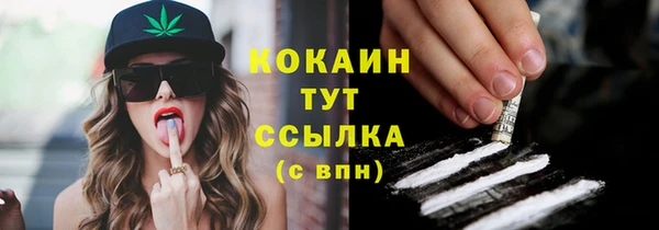 меф Мегион