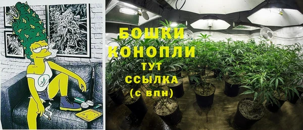 меф Мегион