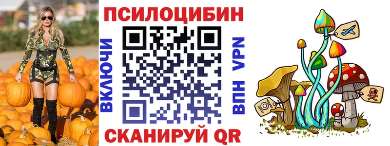 наркотики  Галич  Псилоцибиновые грибы GOLDEN TEACHER 