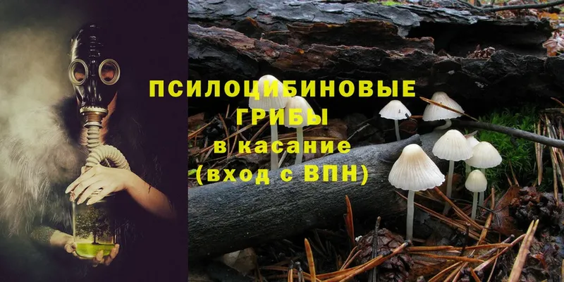 Псилоцибиновые грибы Psilocybine cubensis  МЕГА рабочий сайт  Галич 