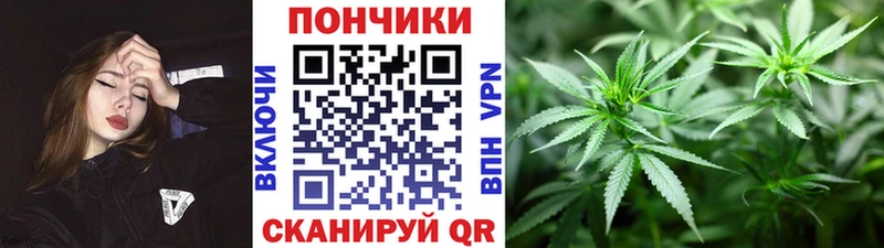 купить наркоту  Галич  Шишки марихуана план 